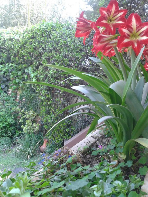 Hosteria Pascana ซานซัลวาดอร์ เด โฆคุย ภายนอก รูปภาพ