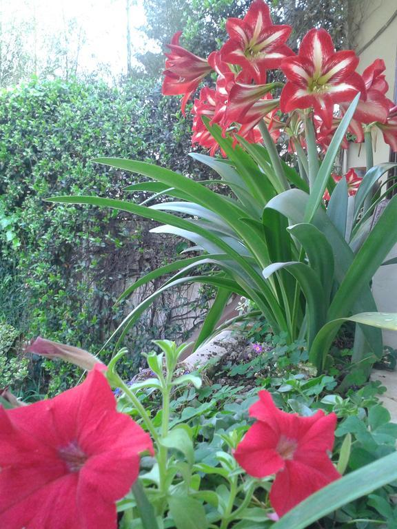 Hosteria Pascana ซานซัลวาดอร์ เด โฆคุย ภายนอก รูปภาพ