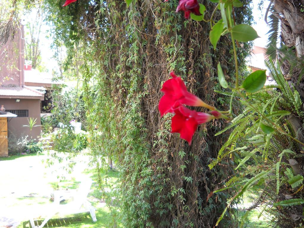 Hosteria Pascana ซานซัลวาดอร์ เด โฆคุย ภายนอก รูปภาพ