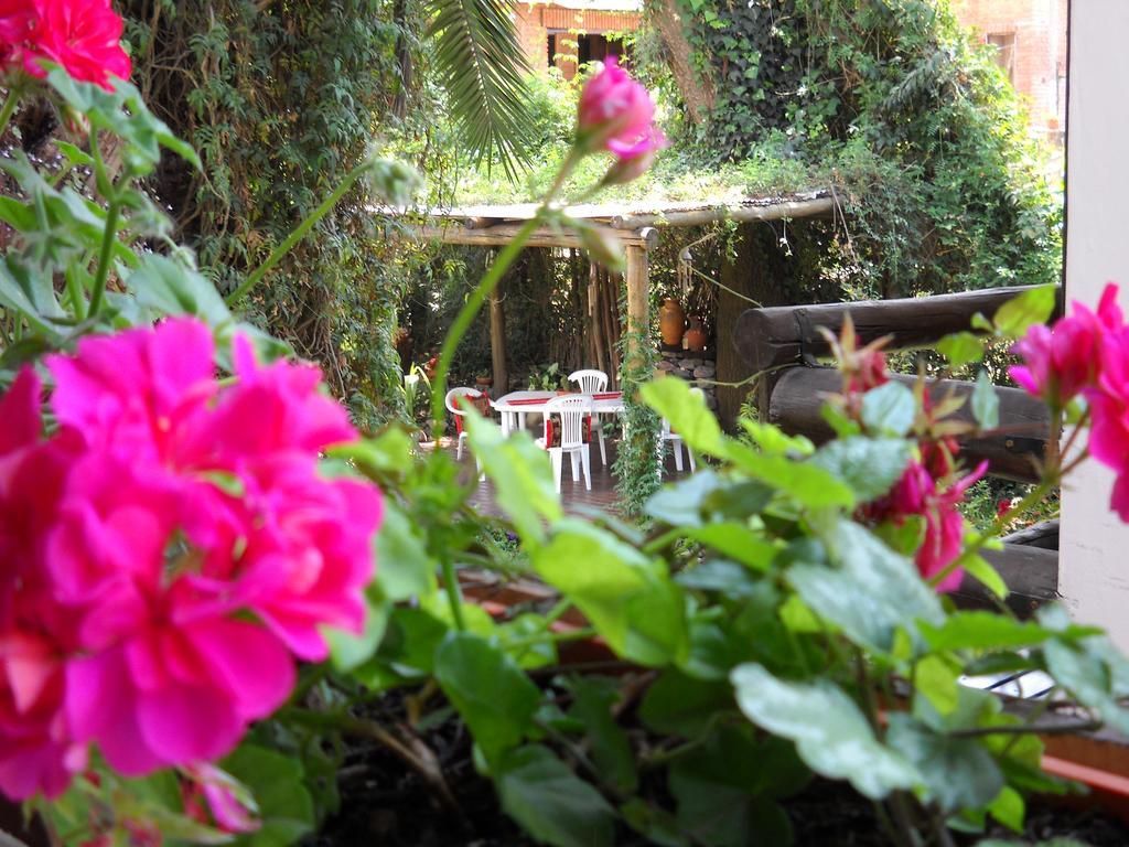 Hosteria Pascana ซานซัลวาดอร์ เด โฆคุย ภายนอก รูปภาพ
