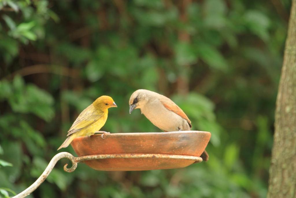 Hosteria Pascana ซานซัลวาดอร์ เด โฆคุย ภายนอก รูปภาพ